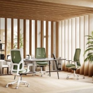 fauteuil ergonomique briceman