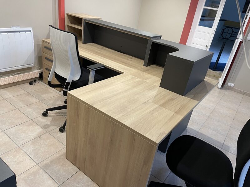 banque-daccueil-professionnelle