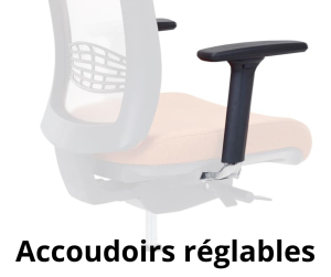 siege-ergonomique-auch-gers-tarbes-1-300x251