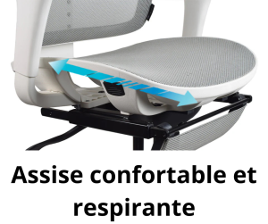 siege-ergonomique-auch-tarbes-300x251