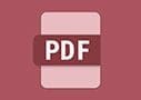 workflow-central-icon-pdf-fr