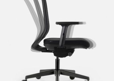 fauteuil ergonomique auch